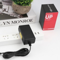 12V AC DC Charger Adapter for VOX Mini5 Rhythm Guitar Amp mini 5 Power Supply