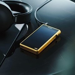 SONY NW‐WM1ZM2 WALKMAN 256GB WM1 Series Hi-Res Android 11 Gold From Japan