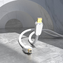 High-End Pure SILVER USB A to B Audio Cables USB 2.0 Interconnect Cable