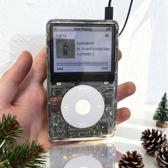 NEW Apple iPod Classic Video 5th 60GB 80GB 128GB 256GB Modded New Battery MP3
