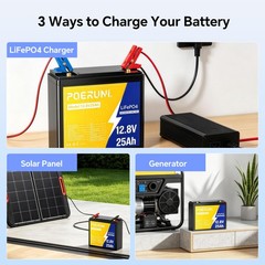 NEW 12V 25Ah LiFePO4 Lithium Battery 320Wh Built-in BMS Deep Cycle for Solar RV