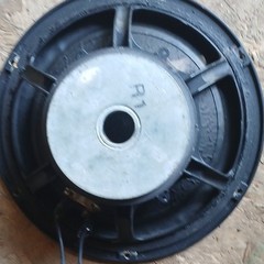 Vifa 10 in Woofer Speaker Driver M26WR-09-08 8 Ohm Vifa Compatible