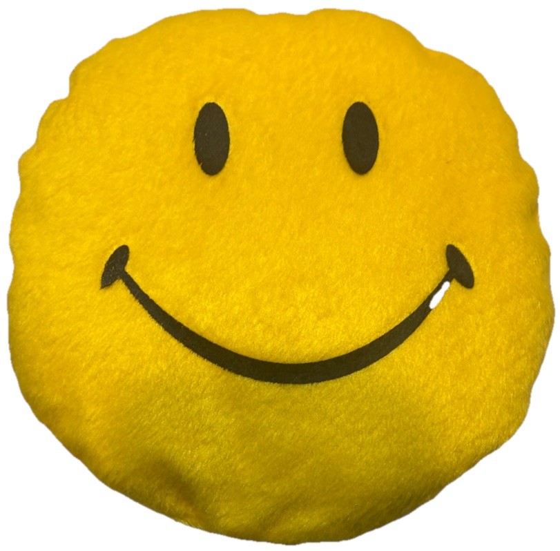 Smiley Face CD Holder—Yellow And Fuzzy—Holds 24 CD’s—NEW—SHIPS IN 24 HOURS—