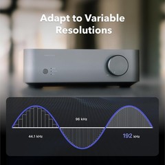 WiiM Vibelink Amp 100W Power Amplifier ESS DAC Compatible WiiM Mini/Pro