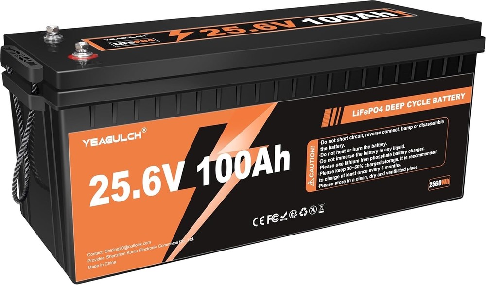 24V 100Ah LiFePO4 Battery 100A BMS Low Temp Protect 2560Wh for RV Solar Marine