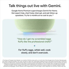 Google Home Speaker Smart Speaker Gemini Voice Assistant (Hazel)