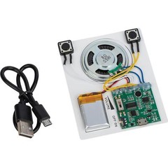 Voice/MP3 Record and Playback Board Kit with Li-Poly Battery and USB Cable for S