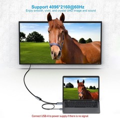 BENFEI HDMI to DisplayPort Adapter 4K@60Hz Active Male to Female Converter