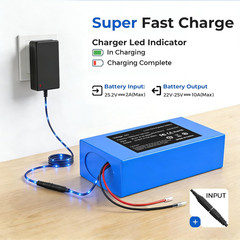 24V 12000Mah Rechargeable Lithium Ion Battery Pack with 29.4V Charger & Bare Lea