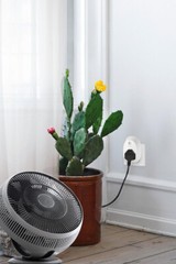 TP-Link Smart Wi-Fi Plug HS100 Works With Amazon Alexa, Google Assistant — NEW