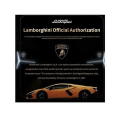 LAMBORGHINI Earbuds 6.0 Bluetooth Sport Ear Hook Earbuds – NEW in Box