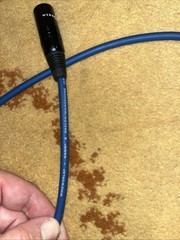 Wireworld Oasis 8 Balanced XLR 1m INTERCONNECT CABLE Pair