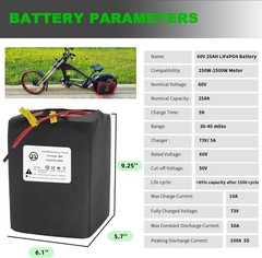 60V 25Ah LiFePO4 Battery Pack for 1500W Bike EBike Scooter Built-in 50A BMS
