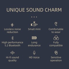 Bluetooth 5.0 Headset TWS Wireless Earphones Earbuds Stereo Headphones Ear Hook