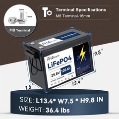 24V 100Ah LiFePO4 Lithium Battery for RV Marine Solar Trolling Motor 100A BMS
