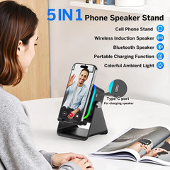 Induction Speaker with Phone Stand 5 in 1 Wireless Induction Bluetooth Audio NEW