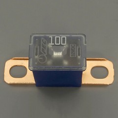 30A/40A/50A/60A/70A/80A/100A/120A Car Main Power Fuse Car Battery Fuse Generator