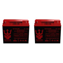 Electric Mobility 320 Powerchair 12V 22Ah Nut & Bolt Battery byNeptune – 2 pack
