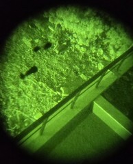 Gen3 Night Vision Intensifier Tube 43mm Diameter
