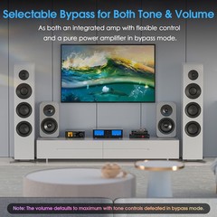 HIFI 2/4-Channel Digital Power Amplifier Speaker Selector for Eversolo DMP-A6