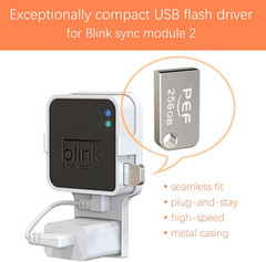 256GB Blink USB Flash Drive and Outlet Wall Mount for Blink Sync Module 2, Local