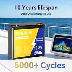 NEW 12V 25Ah LiFePO4 Lithium Battery 320Wh Built-in BMS Deep Cycle for Solar RV