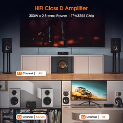 Douk Audio A5 HIFI 300W Digital Amplifier with HPF TPA3255 Power Amp for Speaker