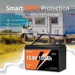 12V 100Ah LiFePO4 Lithium Battery BMS Deep Cycle For RVs Backup Power Off-grid