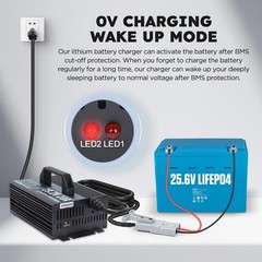 24V 20A Lithium Battery Charger 29.2V LiFePO4 Battery Charger 24 Volt Lithium Ch