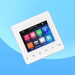 Mini Wall Amplifier Bluetooth Smart Sound System Theater Stereo Ceiling Speaker