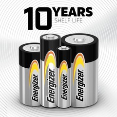 12 Pack D Batteries Alkaline Power Size D for Household Use
