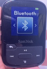 SanDisk Clip Sport Plus MP3 Player 32GB + Bluetooth +File storage – AM FM