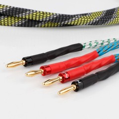 HI-END Pair Speaker Cable Bi-Wire 12 AWG HiFi Loudspeaker Single Wire