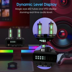 HIFI Vacuum Tube Preamp with Magic 6E2 Stereo Headphone Amp FM Radio Home Clock