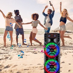 12” Dual Portable Bluetooth Speaker Subwoofer FM Heavy Bass Sound Karaoke W/Mic