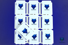 SlimeVR Compatible Full-Body Trackers 10Pack | VRChat SteamVR FBT Kit WolfMotion