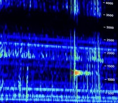 VLF Receiver 1000 Hz To 30 KHz Electric Field Receiver Tripod Mountable