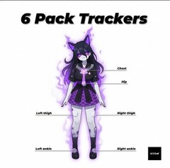 (LSM6DSV) SlimeVR Compatible Full-Body Trackers 6-Pack | VRChat SteamVR FBT Kit