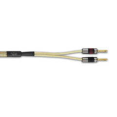 Golden Anniversary XT Pre-Term Speaker Cable 5 M
