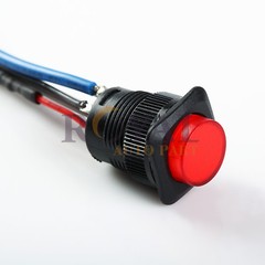 Red Illuminated Momentary-On Switch Push button