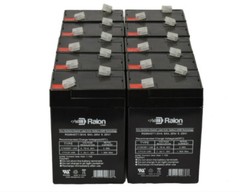 Raion Power 6V 4.5Ah Battery For SEC 6-MP-4.5 – 10 Pack