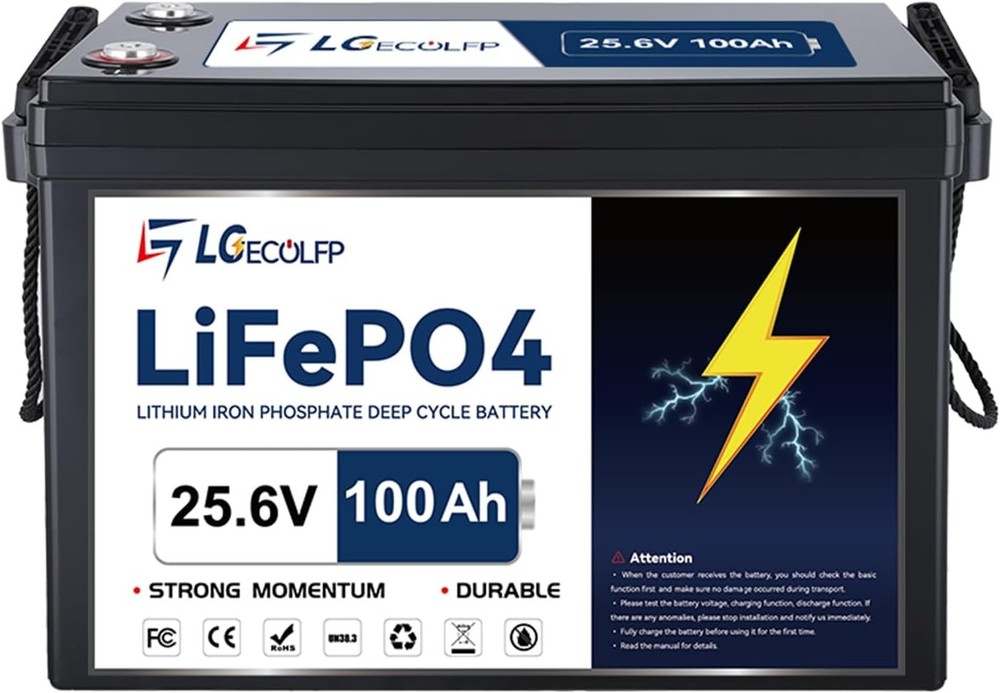 24V 100Ah LiFePO4 Lithium Battery for RV Marine Solar Trolling Motor 100A BMS