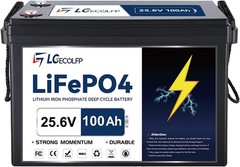24V 100Ah LiFePO4 Lithium Battery for RV Marine Solar Trolling Motor 100A BMS
