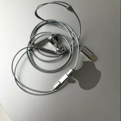 CHROME FINISHED WIRED EARBUDS