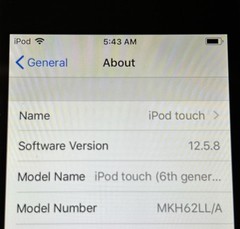 Apple iPod Touch 6th Generation Space Gray (16 GB) TESTED WORKS