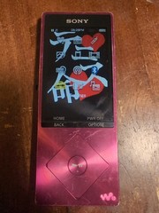 Sony Walkman NW-A25 16GB Hi-Res Digital Audio Player MP3 Red