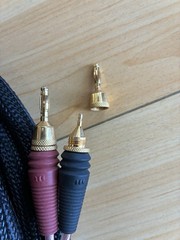 Monster Z2R Series 12 AWG 2x30ft Speaker Cable Banana to Banana Gold, Black