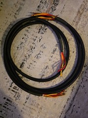 8 ft Bi-Wire Speaker Cable Made from Mogami W3104 Speaker Wire