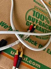 Monster Cable M Series MCX-2S Bi-Wire Speaker Cables.