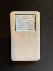 Apple iPod 3rd Generation White Upgraded 10-128GB Flash Storage Working MP3 Play